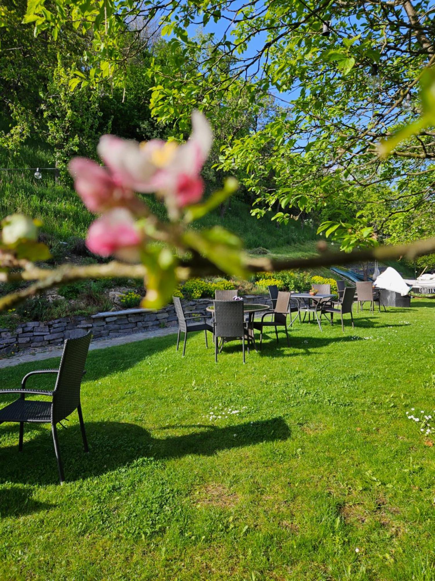 Aura Hotel Banska Stiavnica Exterior photo